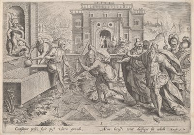 टिड्डियों का प्लेग, c.1585। द्वारा जोहान सदेलर I