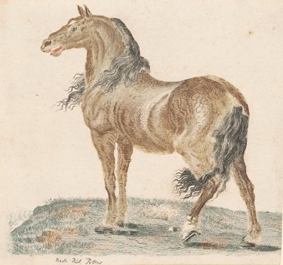 द नेइंगिंग हॉर्स, 1690s। द्वारा जोहान टायलर