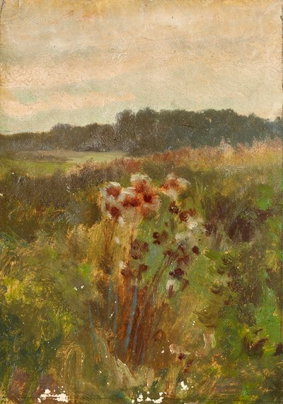 निचले ऑस्ट्रिया में परिदृश्य द्वारा जोहान टिल द यंगर