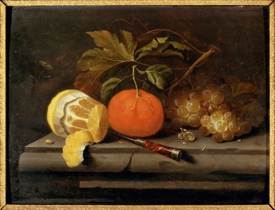  द्वारा जोहान्स बोर्मन