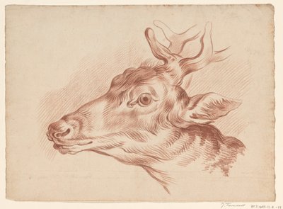 एक हिरण का सिर, बाईं ओर द्वारा Johannes Tavenraat