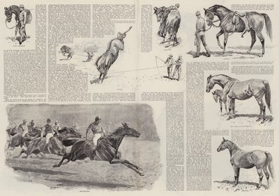 एक घुड़दौड़ का कैरियर (उत्कीर्णन) द्वारा जॉन (बाद में) चार्लटन