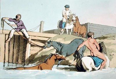स्नान करने वाले घोड़े, कलाकार द्वारा उकेरे गए, 1803 में प्रकाशित (कलर लिथो) द्वारा जॉन ऑगस्टस एटकिंसन