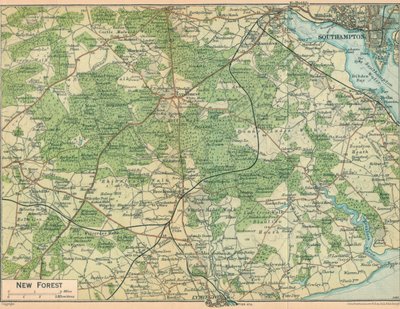 न्यू फॉरेस्ट, c20th सेंचुरी द्वारा जॉन बार्थोलोम्यू