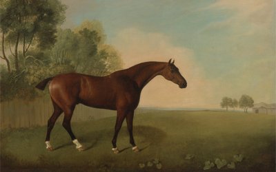 ए बे हॉर्स इन ए फील्ड, 1778 द्वारा John Boultbee