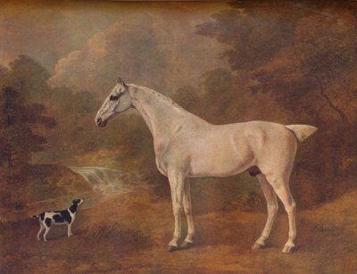 एक पिस्सू-काट ग्रे और एक धब्बेदार टेरियर, 1803। द्वारा जॉन बोल्टबी