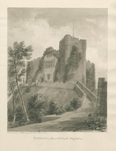टैमवर्थ कैसल: सीपिया ड्राइंग, अप्रैल 1849 (ड्राइंग) द्वारा जॉन बकलर