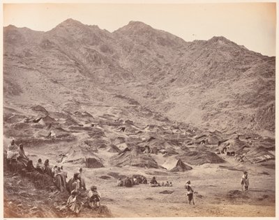 जंगली में द्वारा जॉन बर्क