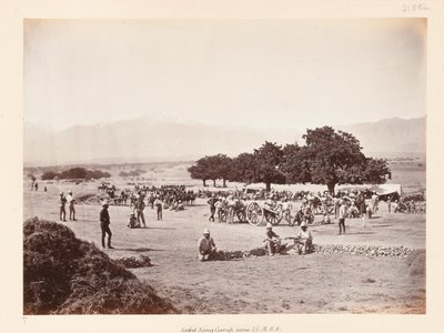 सफ़ेद संग शिविर S द्वारा जॉन बर्क