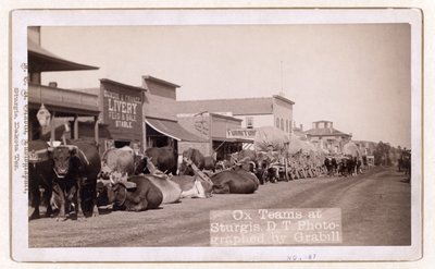 स्टर्गिस, डीटी, पब.1887 - 1892 में ऑक्स टीमें (फोटो) द्वारा जॉन सीएच ग्रिल
