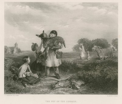 आम के पालतू द्वारा जॉन कॉलकॉट हॉर्सले