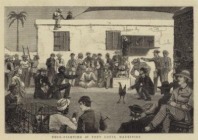 पोर्ट लुई, मॉरीशस में मुर्गा-लड़ाई द्वारा John Charles Dollman