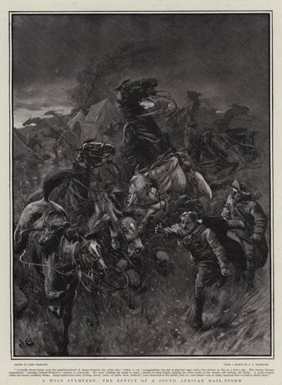 एक जंगली भगदड़, एक दक्षिण अफ्रीकी हेल-तूफान का प्रभाव द्वारा John Charlton