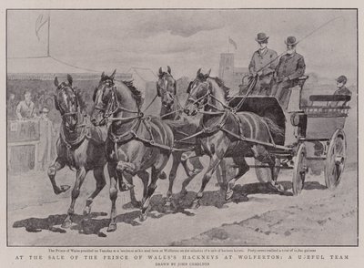 एक उपयोगी टीम वुल्फर्टन में प्रिंस ऑफ वेल्स की हैकनीज की बिक्री पर द्वारा John Charlton