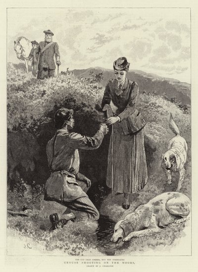 घोड़ों की शूटिंग Moors पर द्वारा John Charlton
