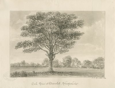 बोसोबेल - द रॉयल ओक: सीपिया ड्राइंग, 1820 द्वारा जॉन चेसेल बकलर