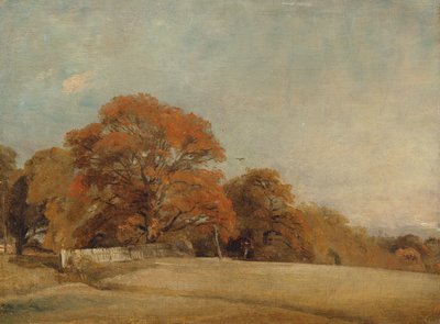 पूर्वी बर्गोल्ट में एक शरदकालीन लैंडस्केप, c.1805-08 द्वारा John Constable