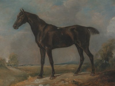 गोल्डिंग कॉन्स्टेबल का ब्लैक राइडिंग-हॉर्स, 1805 और 1810 के बीच। द्वारा जॉन कांस्टेबल