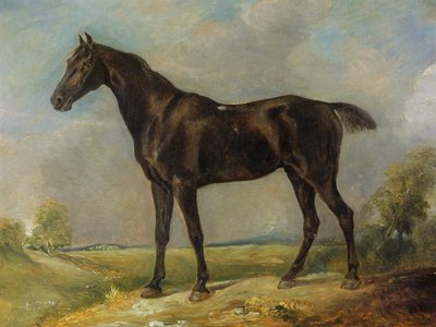 कॉन्सटेबल की ब्लैक राइडिंग-हॉर्स, c.1805-10 द्वारा John Constable