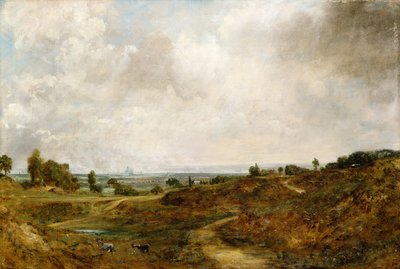 हैम्पस्टेड हीथ द्वारा John Constable