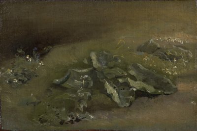 बर्डॉक का अध्ययन, c.1810-14 या c.1828 द्वारा जॉन कांस्टेबल
