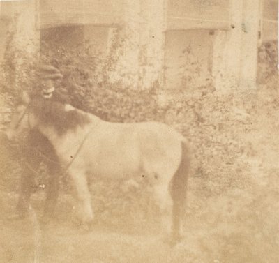 [मैन एंड हॉर्स, गवर्नमेंट हाउस, इलाहाबाद], 1858। द्वारा जॉन कॉन्सटेंटाइन स्टेनली