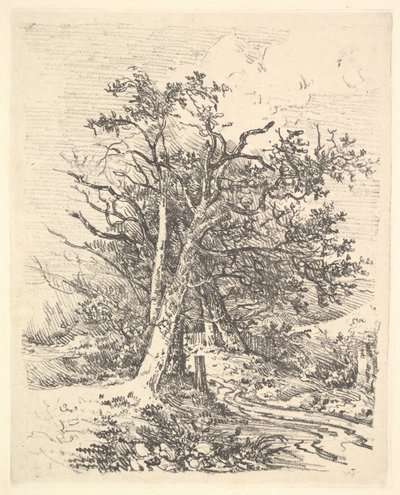 ट्री ट्रंक और लेन, 1811-13। द्वारा जॉन क्रोम