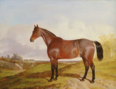 1854 में एक बे हंटर का अध्ययन द्वारा John Dalby
