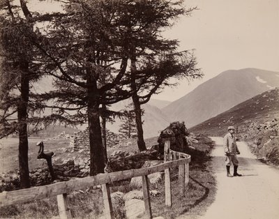क्लोवा - बर्बाद मकान, 1895 द्वारा जॉन एडवर्ड एलोसियस स्टीगल