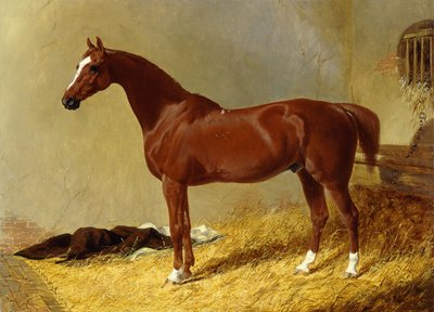 ए बे रेसहॉर्स इन ए स्टॉल, 1843 द्वारा जॉन फ्रेडरिक हेरिंग सीनियर