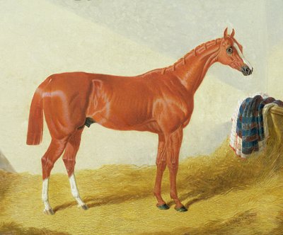 एलिस, 1836 द्वारा जॉन फ्रेडरिक हेरिंग सीनियर