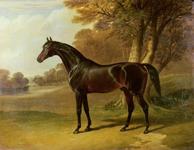 "Glaucus" द्वारा John Frederick Herring Senior