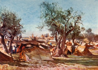 बेडुइन एग्जिबिशन, यरूशलेम की उत्तरी दीवार के बाहर, 1902। द्वारा जॉन फुललीवे
