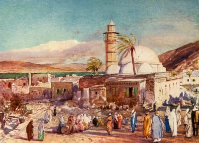 तिबरियास की मस्जिद और गैलील झील, 1902। द्वारा जॉन फुललीवे