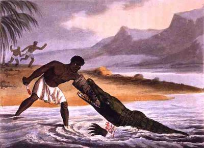 एडवर्ड ऑरमे द्वारा प्रकाशित मैथ्यू डबॉर्ग (fl.1785-1820) द्वारा उकेरी गई अफ्रीकी मगरमच्छ शिकारी द्वारा जॉन हीविसाइड (बाद) क्लार्क