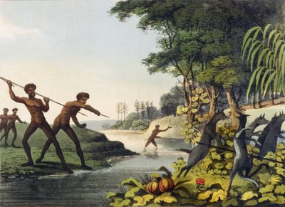 कंगारू का शिकार करना, मैथ्यू डबबर्ग (fl.1813-1820) 1813 द्वारा उत्कीर्ण न्यू साउथ वेल्स में आदिवासी द्वारा जॉन हीविसाइड क्लार्क
