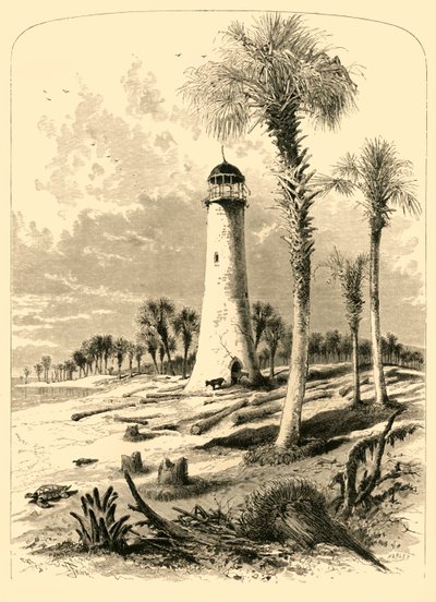 बार लाइटहाउस, सेंट जॉन नदी का मुहाना, 1872। द्वारा जॉन जे. हार्ले