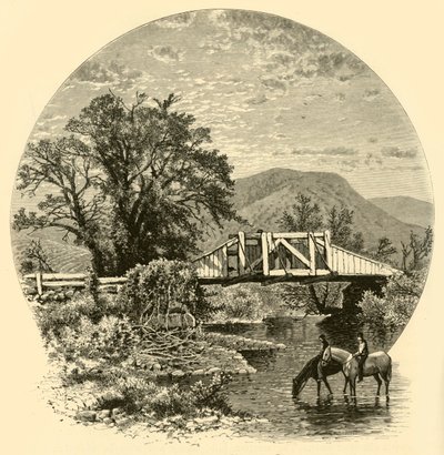 ओल्ड ब्रिज, ब्लैकबेरी नदी, कनान के पास, 1874। द्वारा जॉन जे. हार्ले