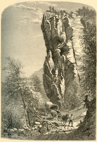 'द लवर्स लीप - एट अर्ली सनराइज', 1872। द्वारा जॉन जे. हार्ले