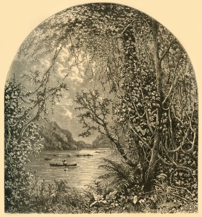 हार्पर फेरी के ऊपर पोटोमैक, c1870। द्वारा जॉन जे. हार्ले