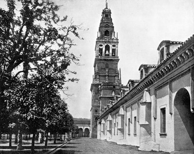 कोर्ट ऑफ़ ओरेंज्स एंड मस्जिद, कॉर्डोबा, स्पेन, 1893। द्वारा जॉन एल। स्टोडर्ड