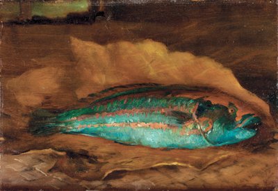 तोता मछली का अध्ययन, समोआ, 1890 द्वारा जॉन ला फार्गे या लाफार्ज