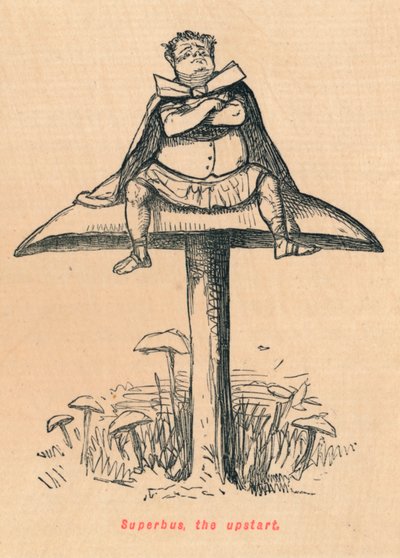 सुपरबस, अपस्टार्ट, 1852 द्वारा जॉन लीचो