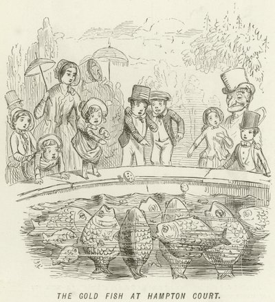हैम्पटन कोर्ट में द गोल्ड फिश द्वारा John Leech