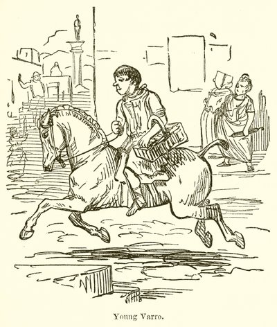 युवा, Varro द्वारा जॉन लीचो
