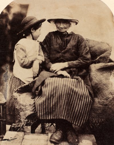 रैगट, कॉर्वेन, नॉर्थ वेल्स में नौकर, सी। 1860. द्वारा जॉन लॉयड
