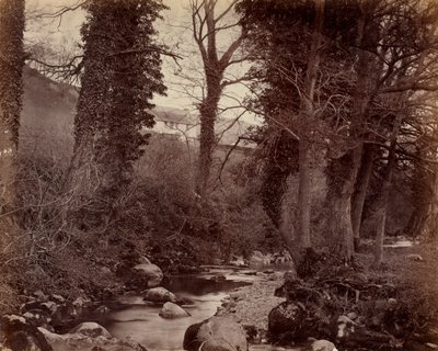 शीर्षकहीन, सी. 1859. द्वारा जॉन लॉयड