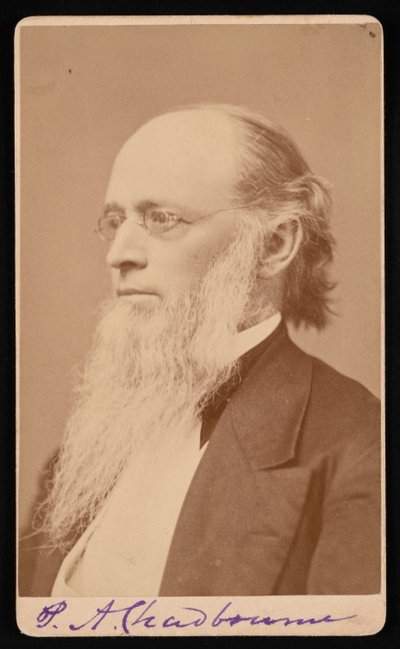 1872 और 1875 के बीच पॉल एंसेल चाडबोर्न 1823-1883 का पोर्ट्रेट। द्वारा जॉन लाइमैन लोवेल