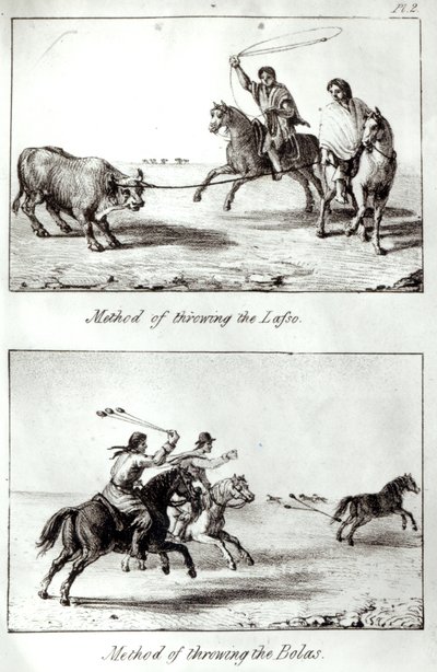 जॉन मैयर्स, 1826 (लिथो) (बीडब्ल्यू फोटो) द्वारा &39;ट्रेवल्स इन चिली एंड ला प्लाटा&39; से लसो और बोलस को फेंकने के तरीके द्वारा जॉन मियर्स