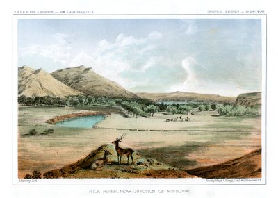 मिल्क रिवर, नियर जंक्शन ऑफ मिसौरी, 1856। द्वारा जॉन मिक्स स्टेनली
